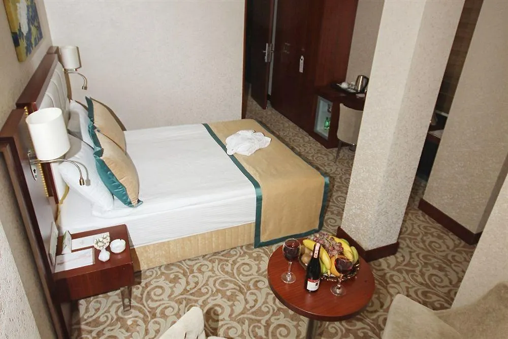 Asrin Business Hotel Kizilay Анкара Турция