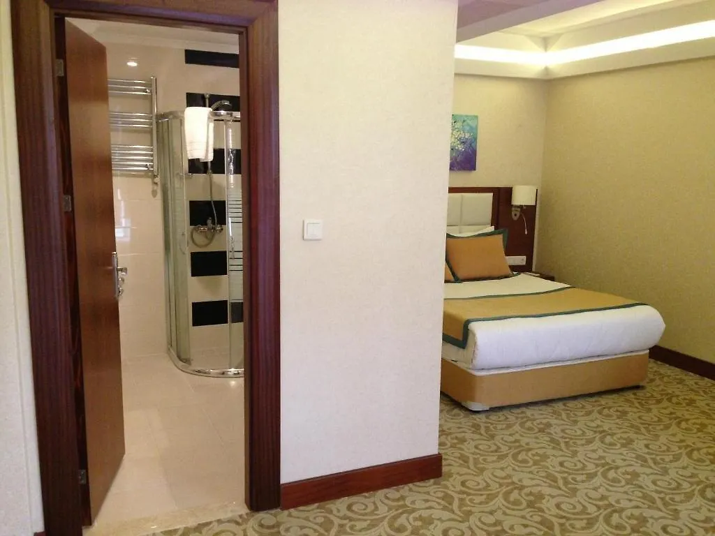 Asrin Business Hotel Kizilay Анкара Турция