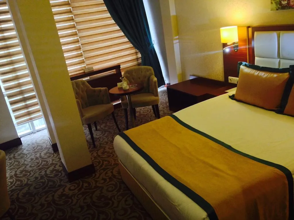 ****  Asrin Business Hotel Kizilay Анкара Турция