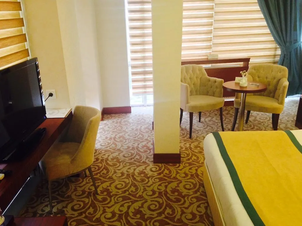 Asrin Business Hotel Kizilay Анкара Турция